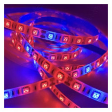 Світлодіодна фітолента Lemanso IP65 60SMD 5050 12V 12W/м 18LM/LED 4 червоних 1 синій 1м
