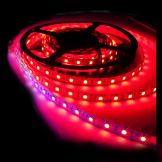 Світлодіодна стрічка smd 3528 120 Led / m DC 12 9.6 W / m IP20 червона